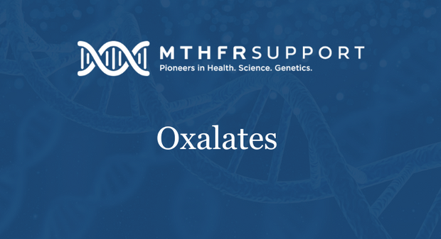 Oxalates-patient