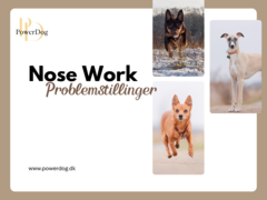 Nose Work Problemløsning cover