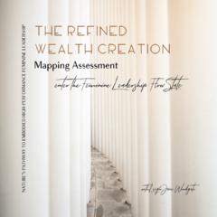 FINAL_The Refined Wealth Creation Mapping Assessment-6