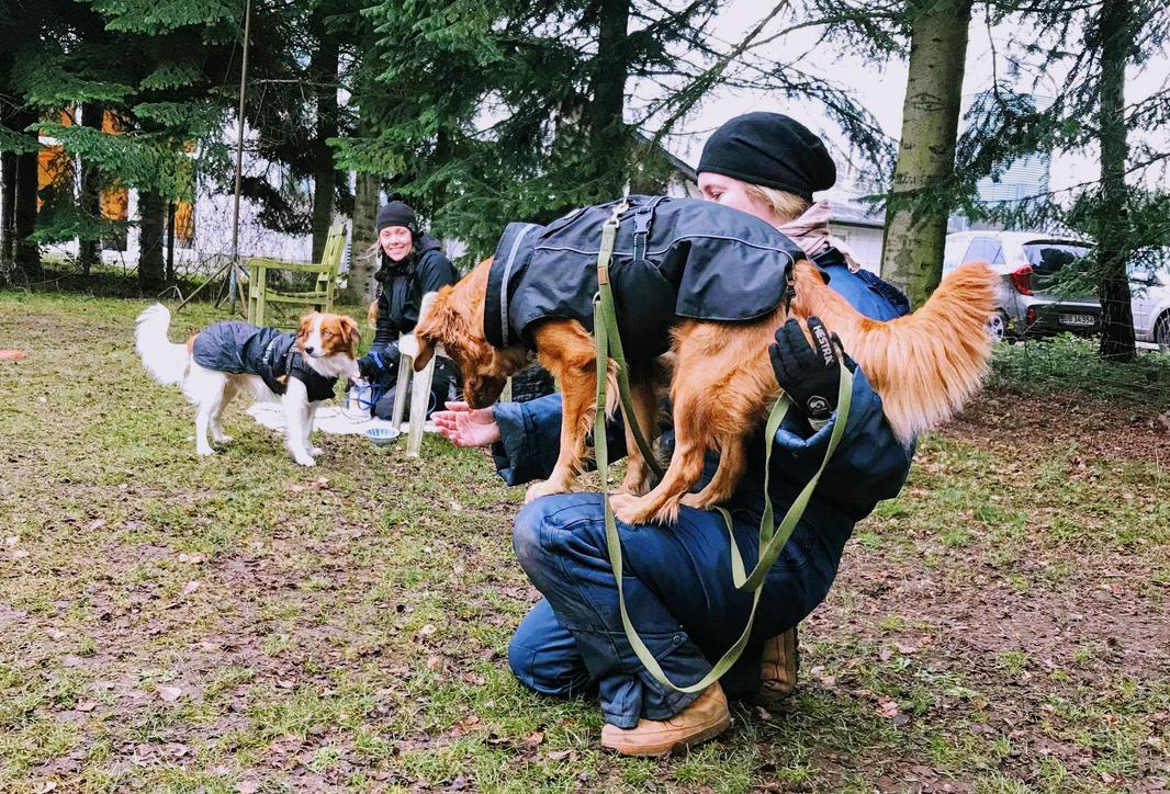 Dogparkour Camilla Fly på lår