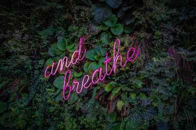 neon pink lettering with the words and breathe against a green wall with ivy fir and other evergreens