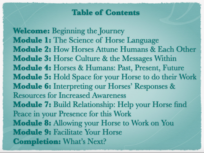 Table of Contents