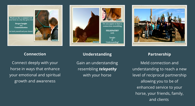 Connection Understanding Partnership