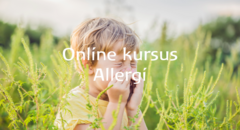Online - allergi