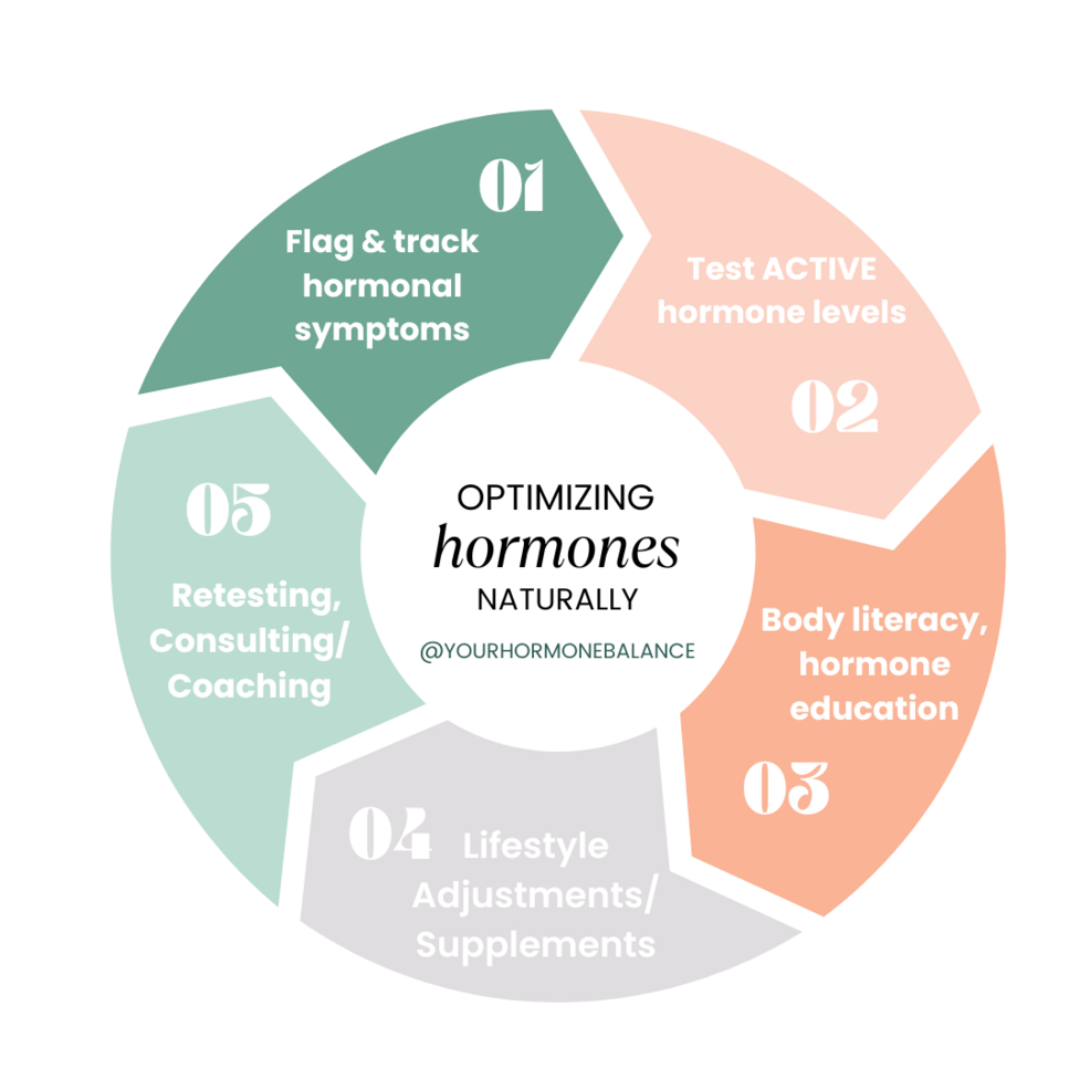 wheel of hormone balance (7)