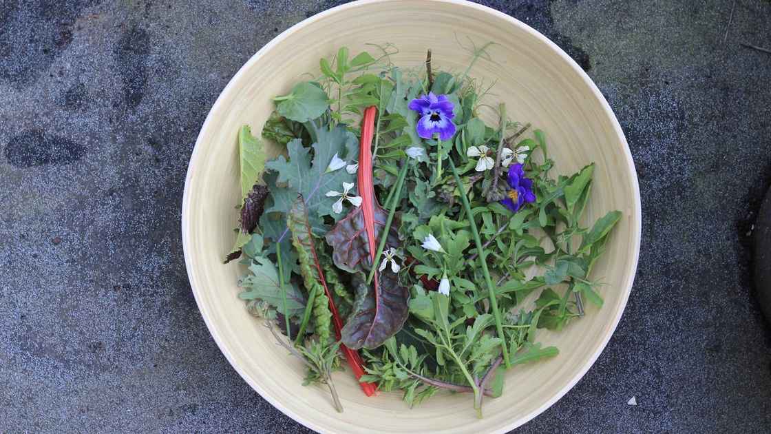 A Salad grown in containers in March