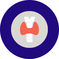 thyroid icon