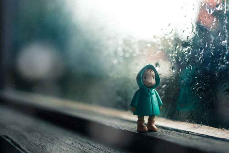 rainy window toy doll