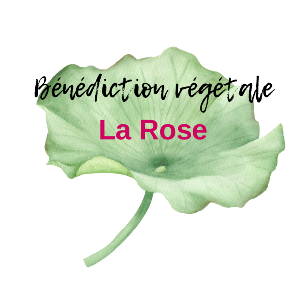 benediction-rose-boutique