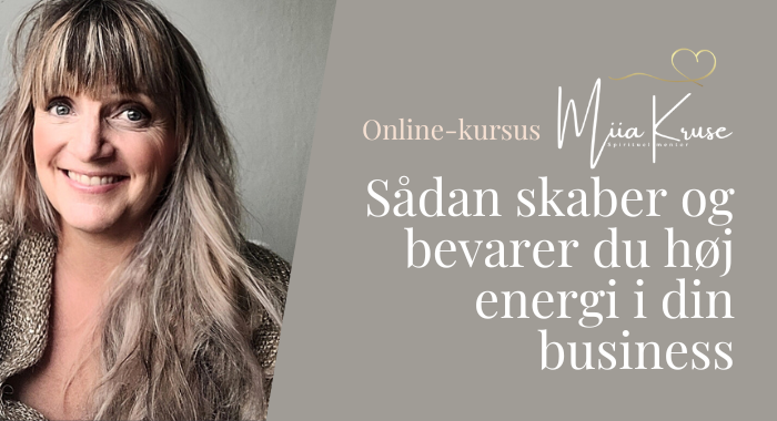 sådan skaber du og bevarer høj energi og vækst i din virksomhed