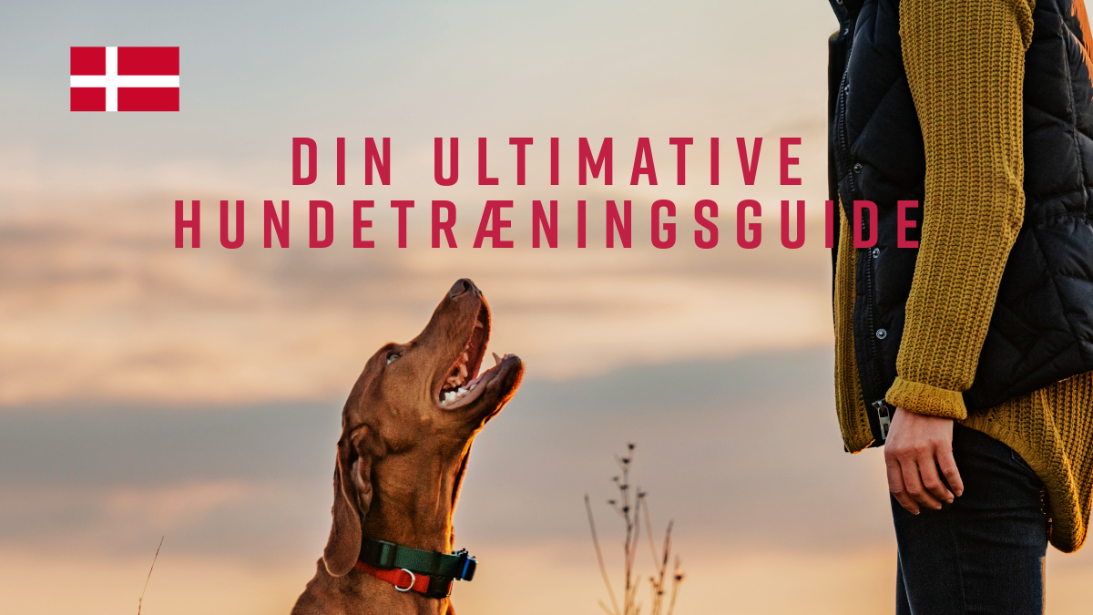 Din Ultimative Hundetræningsguide-1 (1)