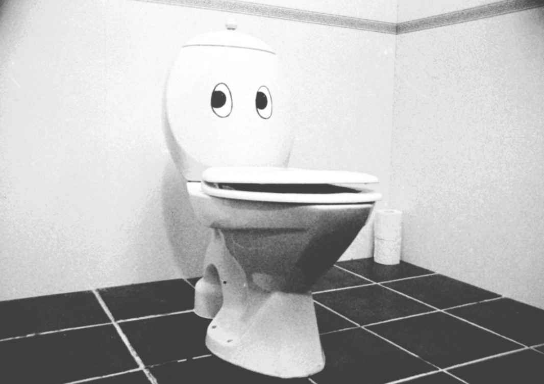 toilet-life