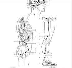 gallbladder meridian