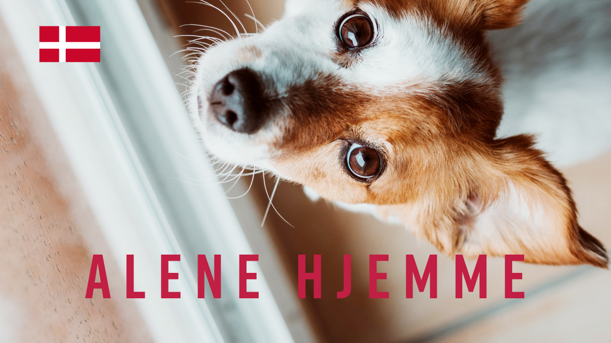 Alene hjemme-4