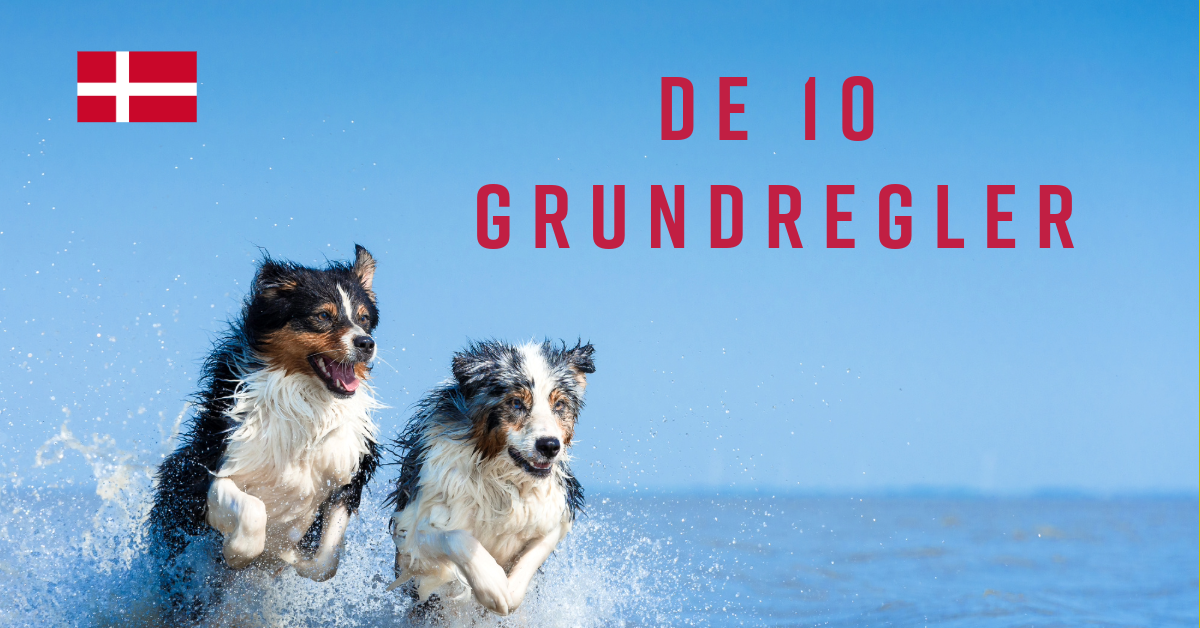 De 10 grundregler-3 (1)