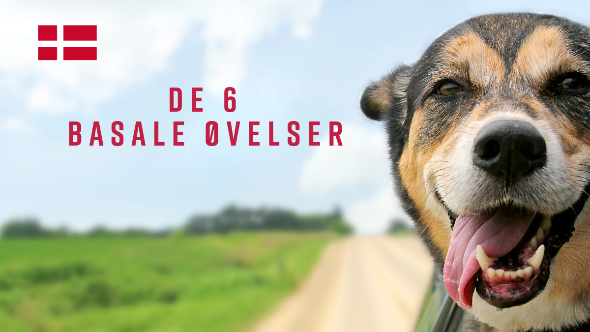 de 6 basale øvelserr-1