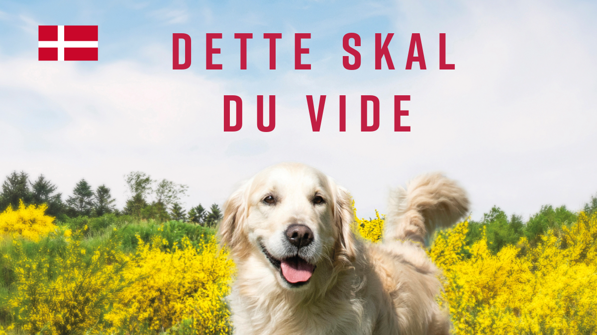 Dette skal du vide-2 (2)