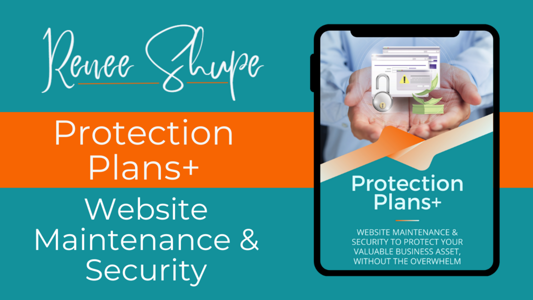 Website Protection Plans