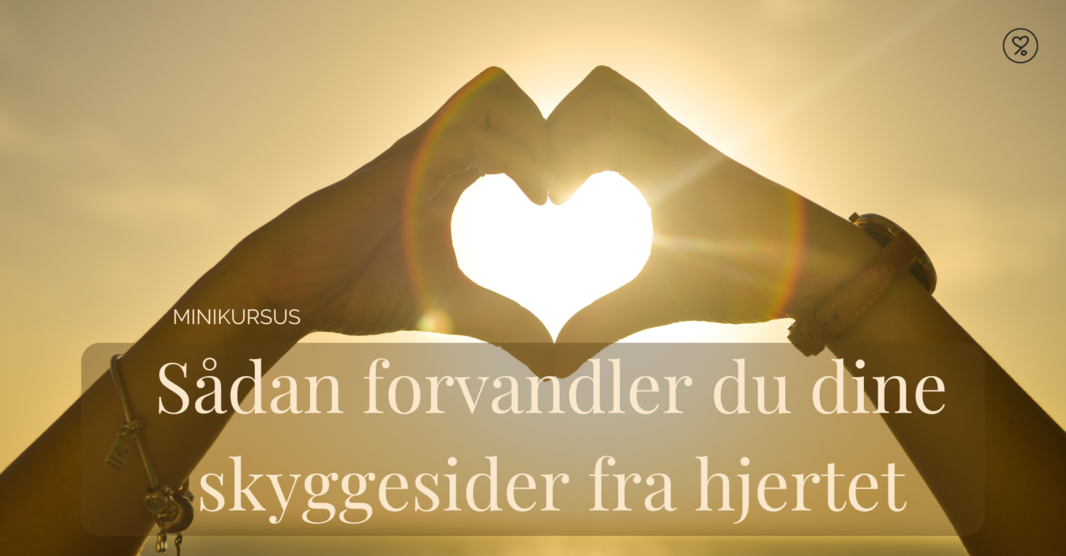 Minikusus i at forvandle skygger