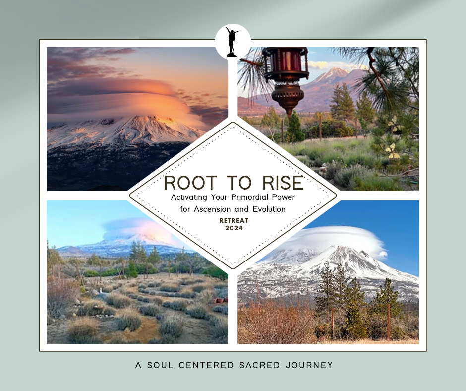 Root to Rise By Design Mt