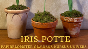 Potte til Iris