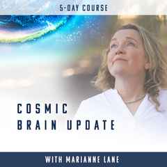 Cosmic brain update