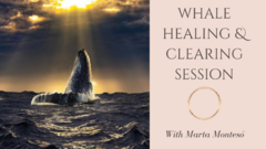 Whale Healing and Clearing Session.final
