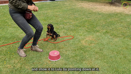 1 - Lulu is introduced to a tub