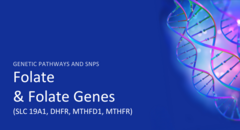 700-Folate & Folate Genes