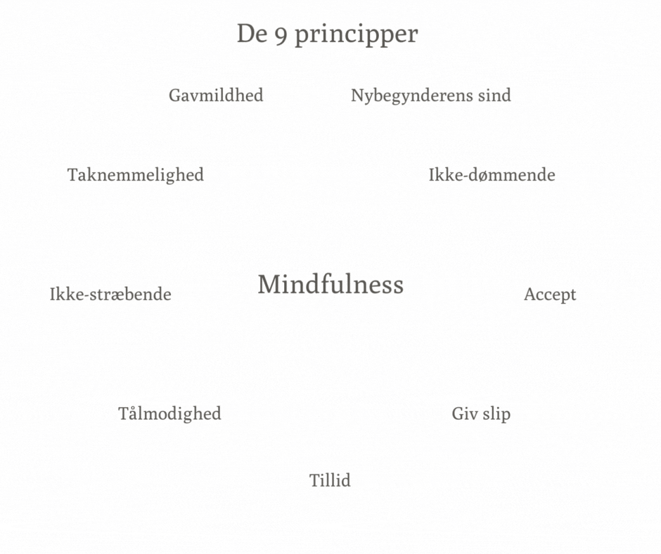 9 Principper i Mindfulness