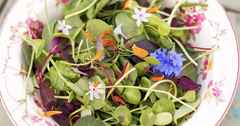 Salad with Edible Flower