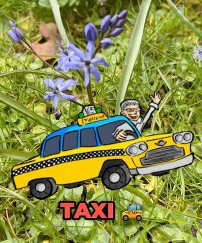 Vårblomme-taxi