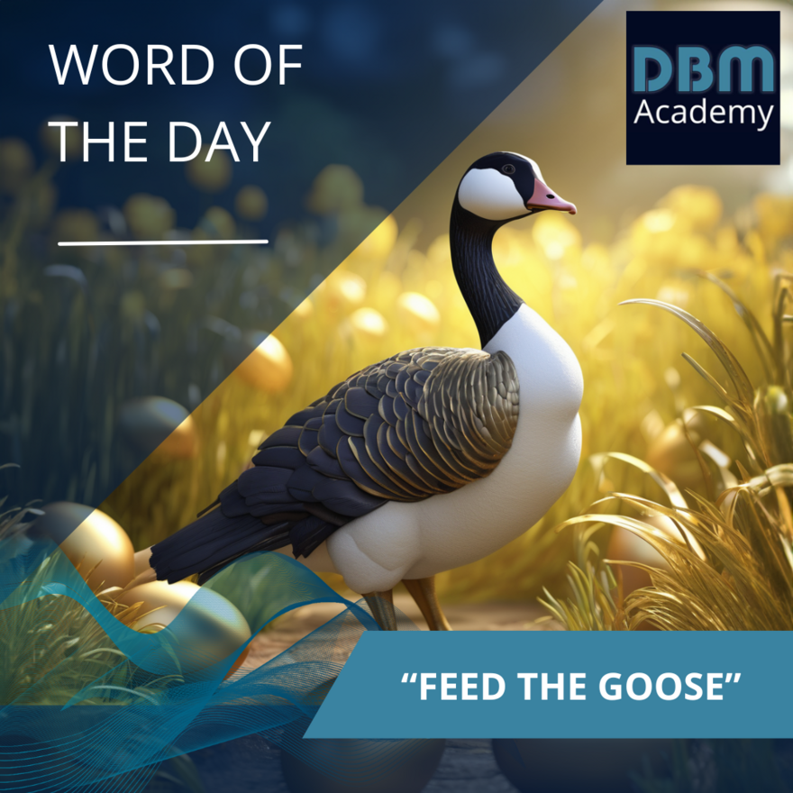 Word of the day -  Feed the goose