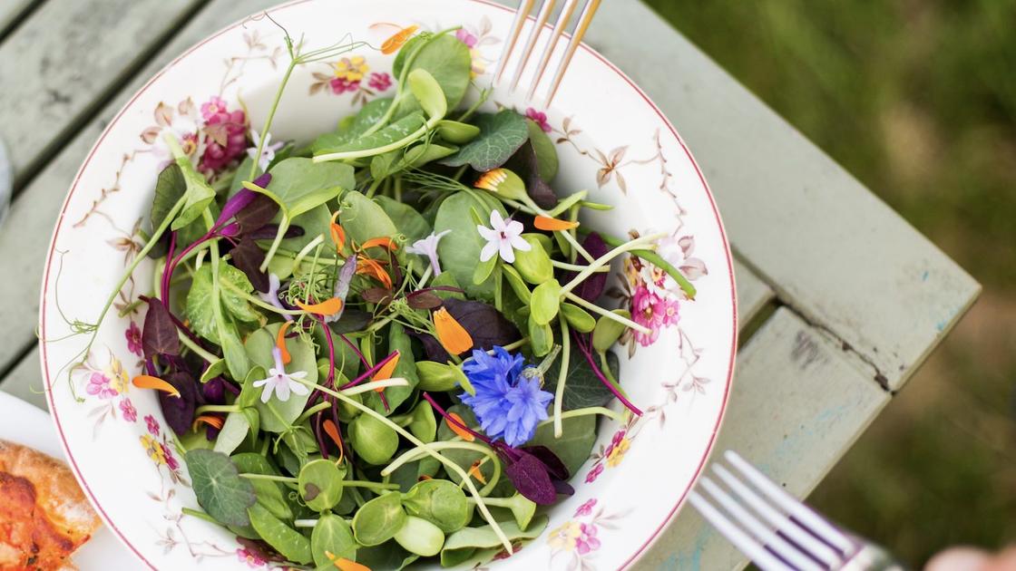 Clare's Salad © Clare Bowes / Vertical Veg