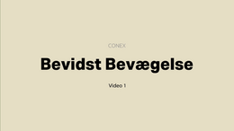 FFL - bevidst