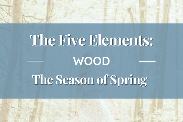 Element of Wood Webinar