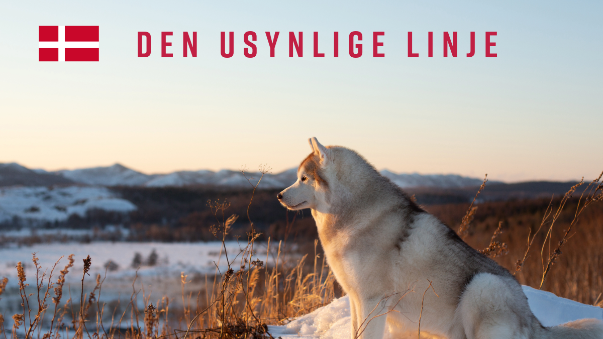 Den usynlige linje-5