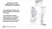 Gua Sha masterclass gallbladder meridian