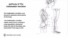 Gua Sha masterclass gallbladder meridian