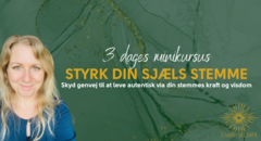 Styrk Din Sjæls Stemme (700 x 380 px)