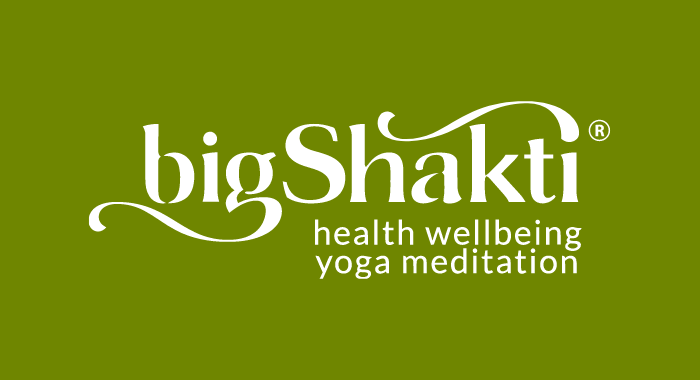 Big Shakti Logo 700 (1)