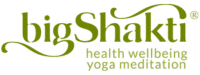 Big Shakti Logo 200x100 (2)