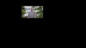 Tomas Frankell Online del 2