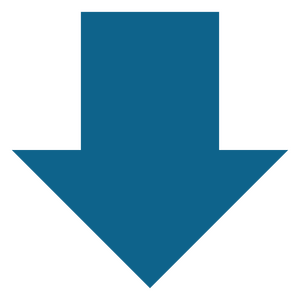 Down Arrow Icon
