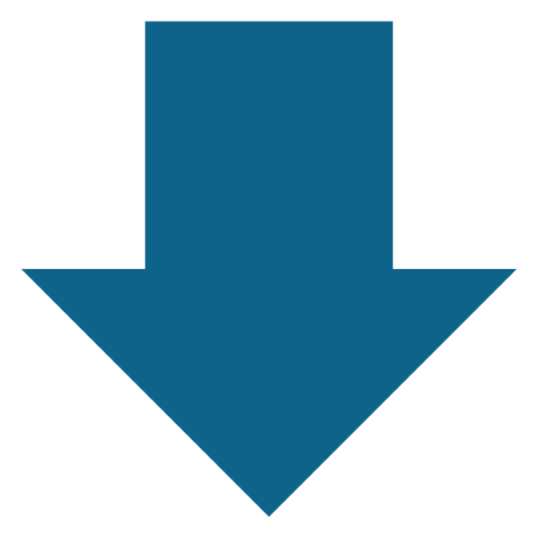 Down Arrow Icon