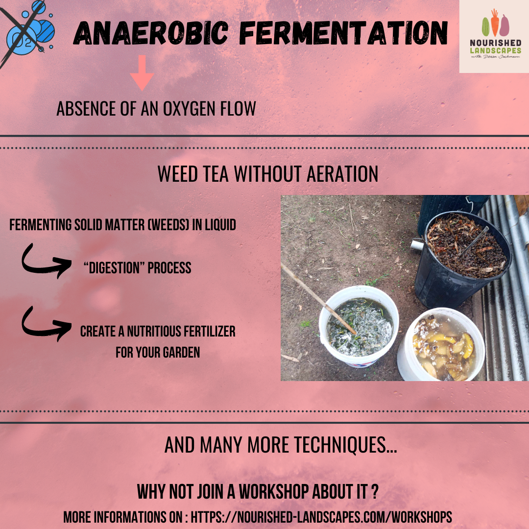 anaerobic fermentation