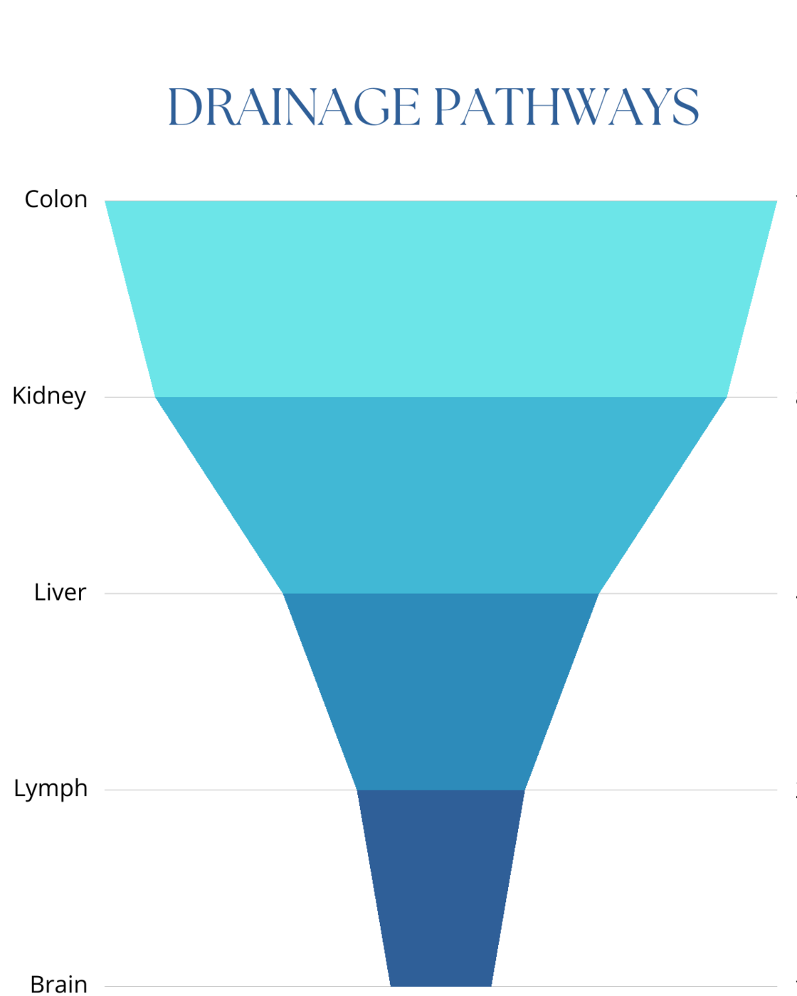 Drainage Pathway