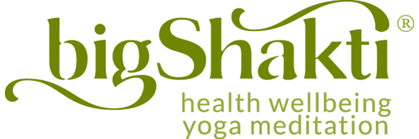 Big Shakti logo