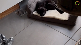 2. Maddie - Good morning and the first pee is well over
