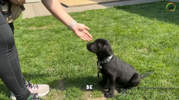 5. Maddie - Sitting should pay off, that's part of setting the first structure